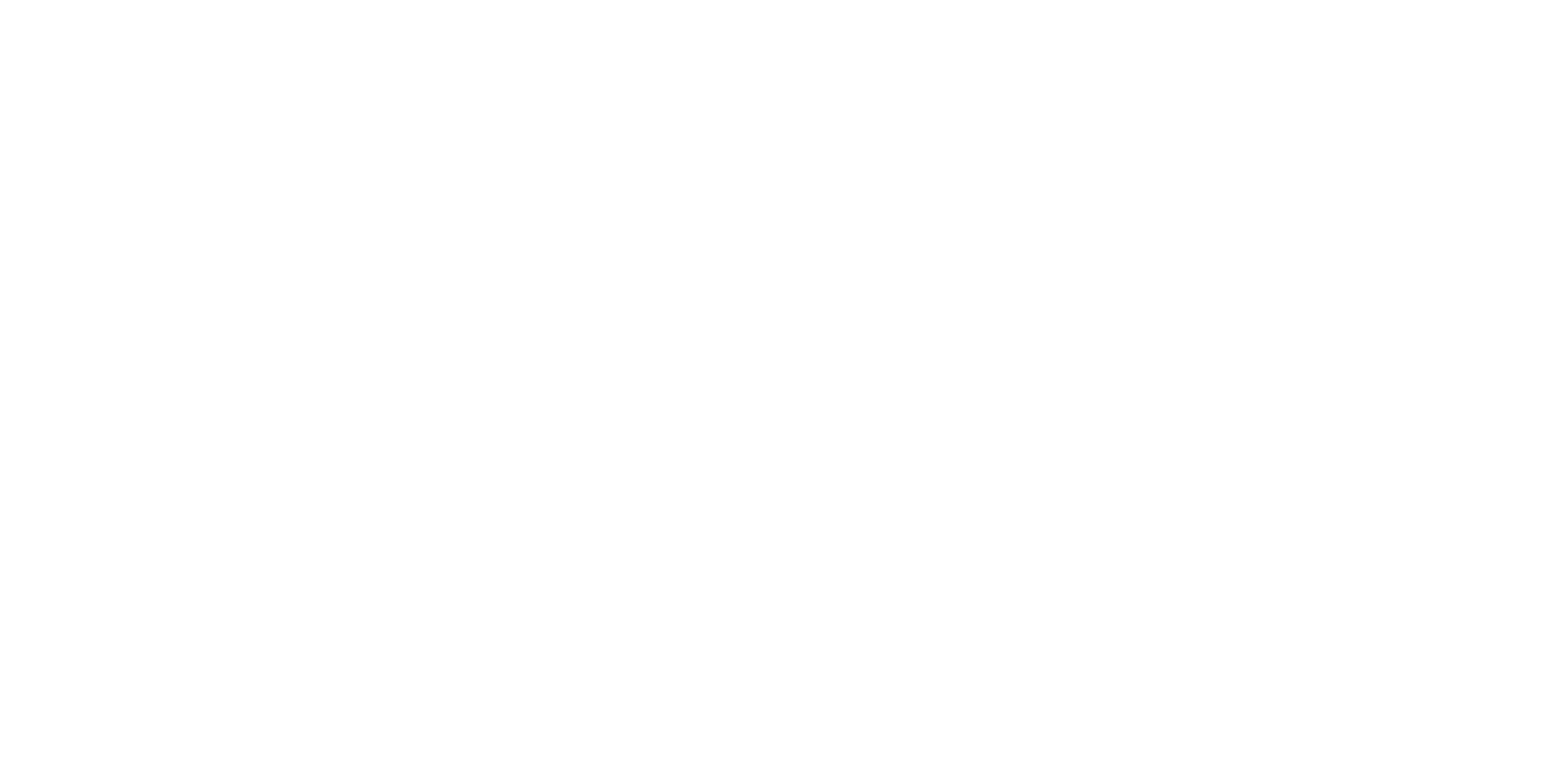 Precision Service Pros white logo<br />
